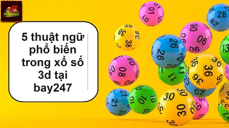 5 thuật ngữ phổ biến trong xổ số 3d tại bay247